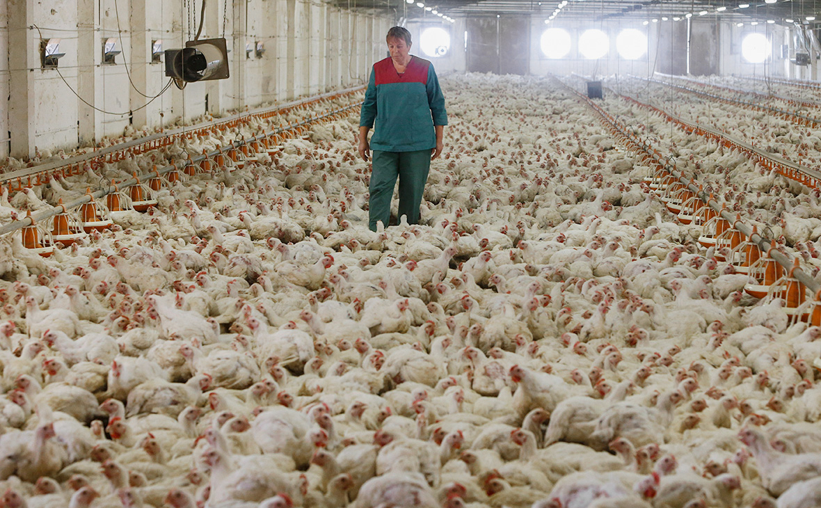 Инспекторы Приокского межрегионального Управления Росприроднадзора в отношении Брянского филиала ОП «Речица-1» АО «Куриное Царство» провели профилактический визит