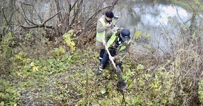 В ходе выездного обследования в районе д. Булановка Орловского МО Орловской области обнаружен едкий запах нефтепродуктов