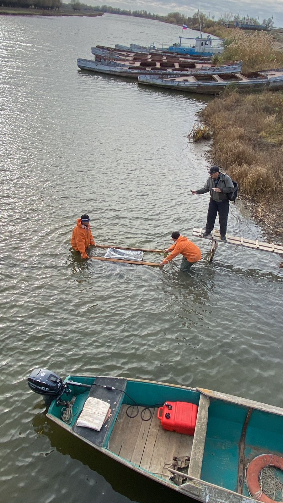 Сотрудники Росприроднадзора в Астраханской области приняли участие в выпуске молоди белорыбицы 