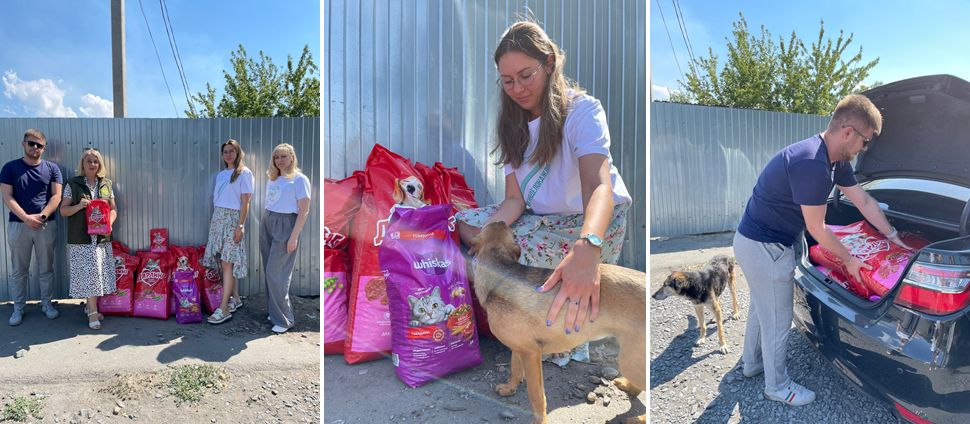 В Ростовской области сотрудники Росприроднадзора оказали помощь приюту для бездомных животных  