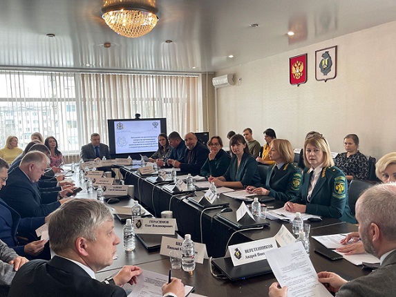 Руководитель Приамурского управления Росприроднадзора приняла участие в заседании рабочей группы 