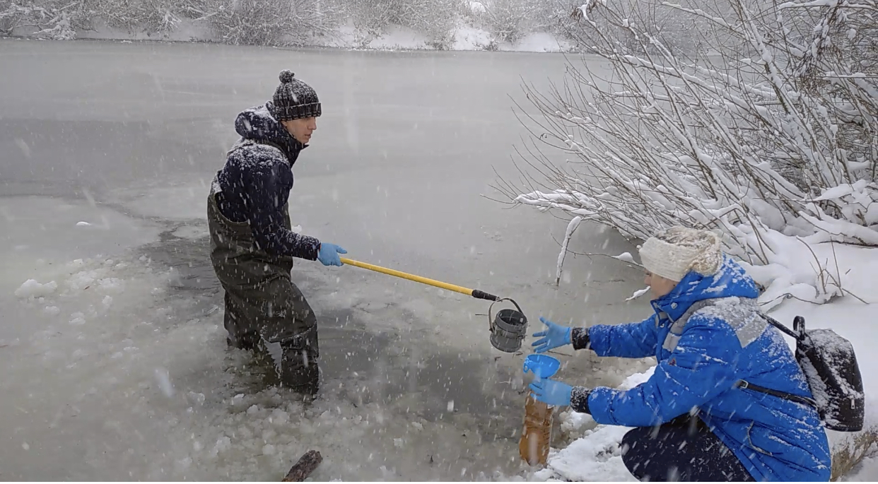 СЗМУ Росприроднадзора устанавливает собственника трубы, по которой сбрасываются неочищенные стоки в реку Преголя