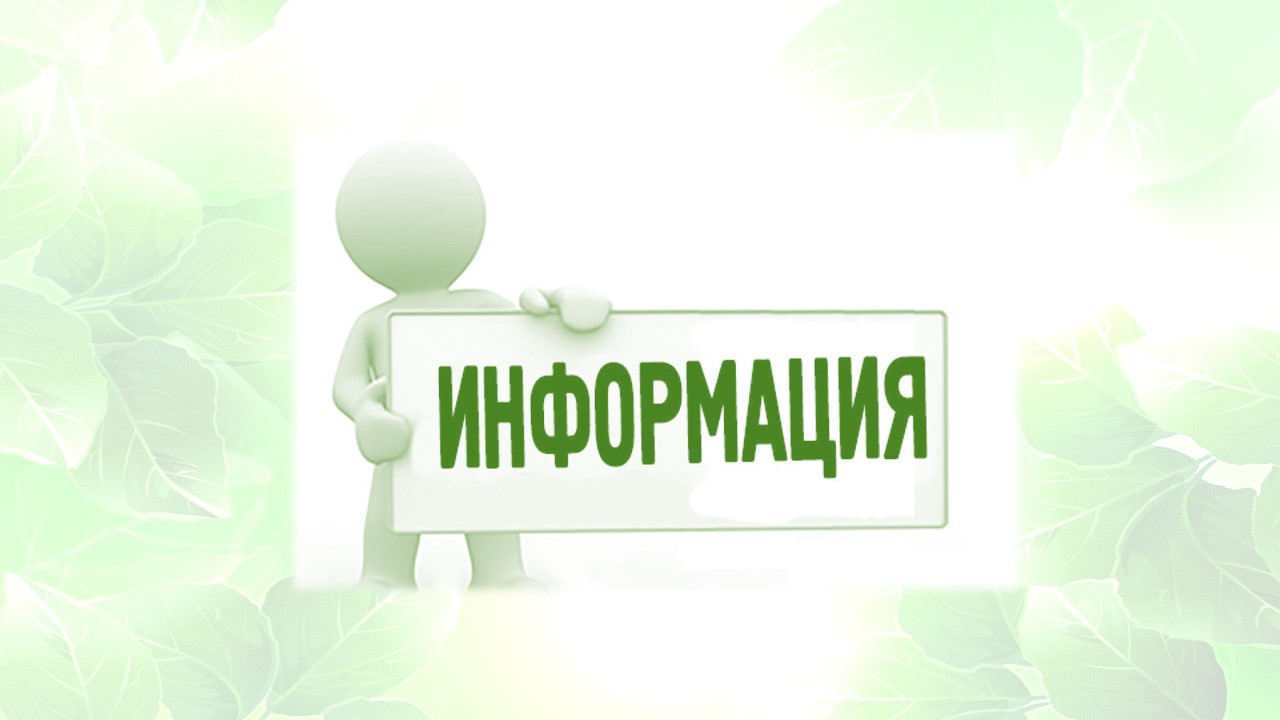 Росприроднадзором был согласован проект об ограничениях охоты в Пензенской области