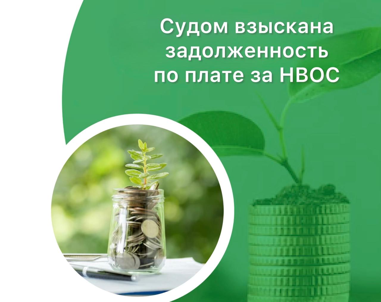 По иску Росприроднадзора суд обязал взыскать с АО «Колымская судоходная компания» плату за негативное воздействие на окружающую среду