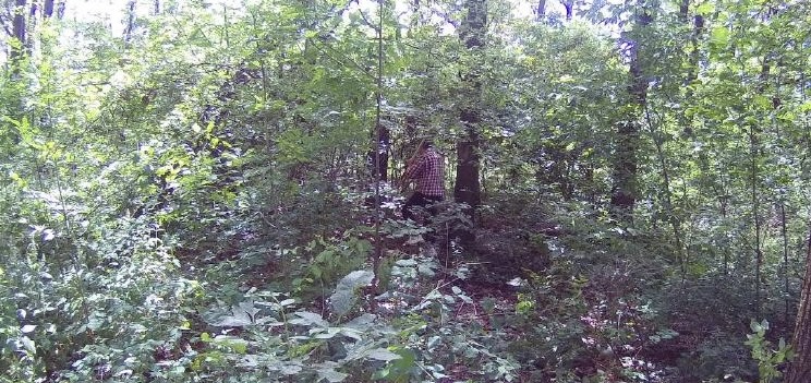 В ходе выездного обследования территории лесополосы рядом с д. Овсянниково Орловской области установлены нарушения