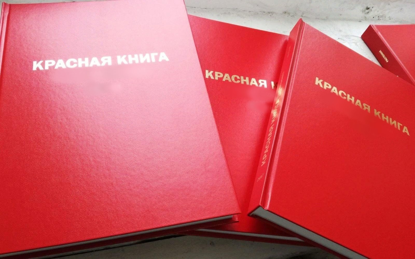 О полномочиях Управления в части надзора за объектами животного мира, занесенными в Красную книгу Российской Федерации