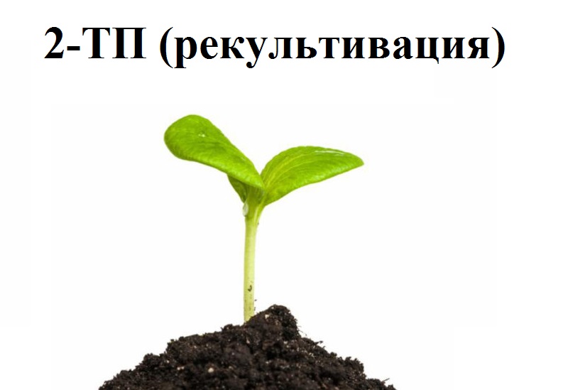 О сдаче федерального статистического отчета по форме № 2-ТП (рекультивация)!