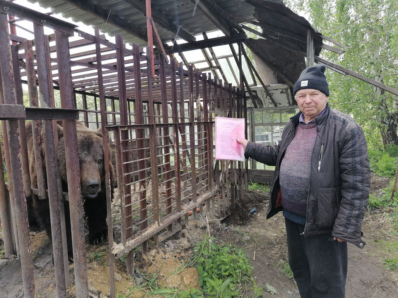 Инспекторы Росприроднадзора проверили условия содержания бурых медведей в Красноярском крае