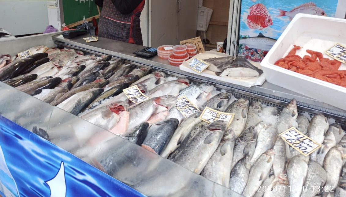 Росприроднадзор по СЗФО передал в суд материалы по факту незаконной торговли краснокнижной рыбой