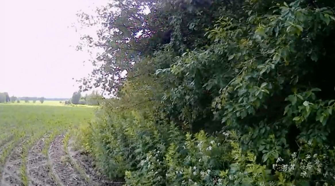 В результате выездного обследования земельного участка в Орловской области фактов загрязнения почвы не установлено