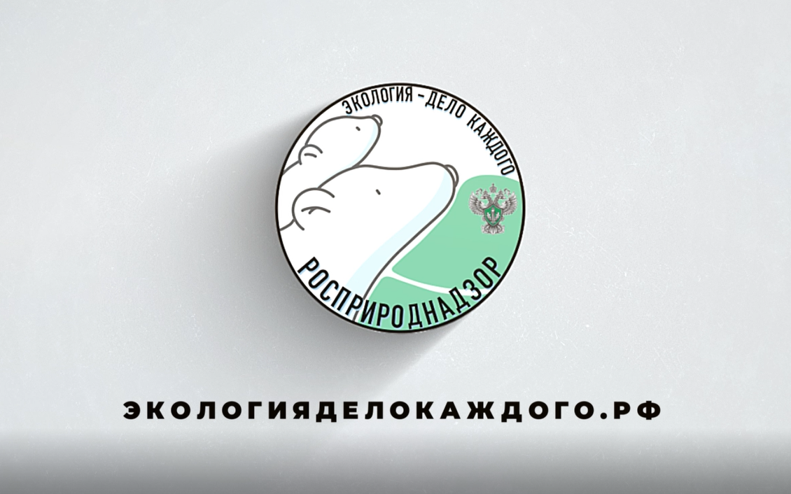 Международная детско-юношеская Премия «Экология — дело каждого» празднует день рождения!