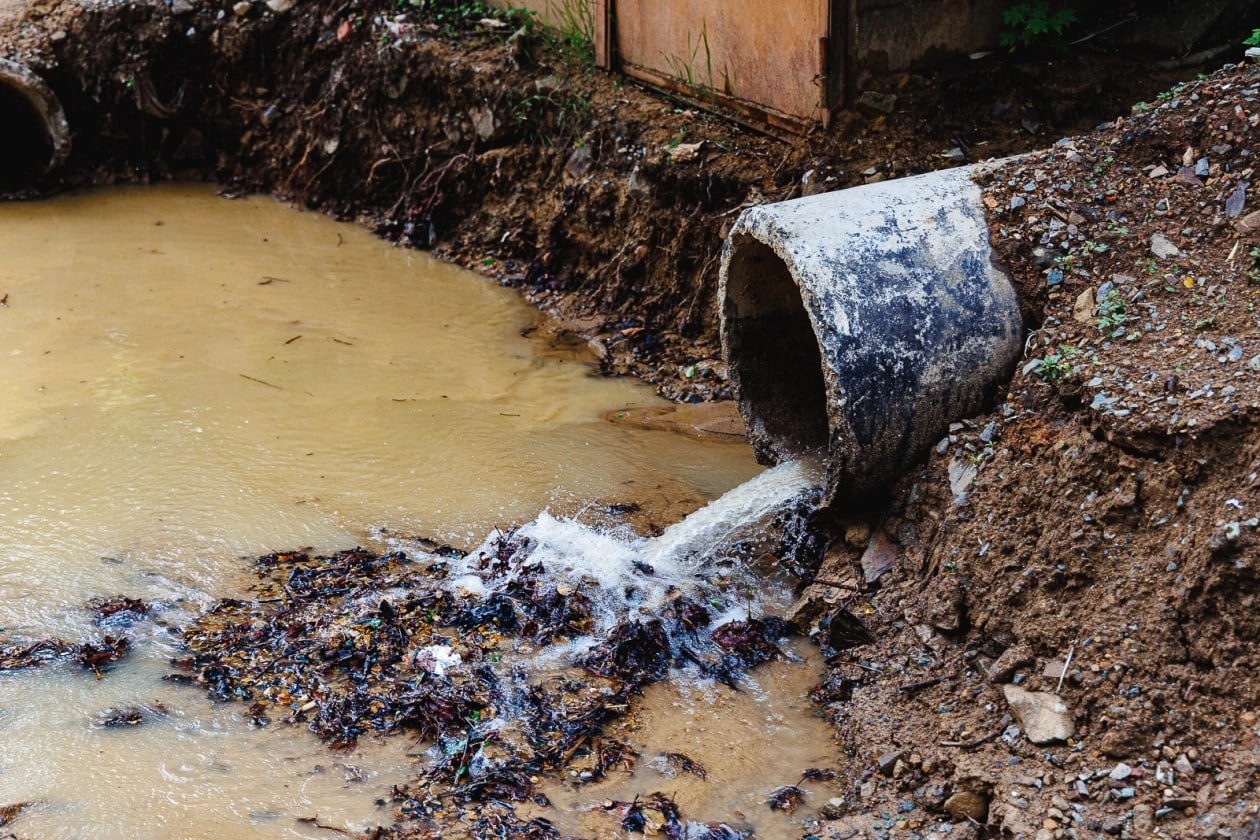 ГУП СО «Облводоресурс» причинило вред почвам более, чем на 6,8 млн. рублей в  г. Вольск