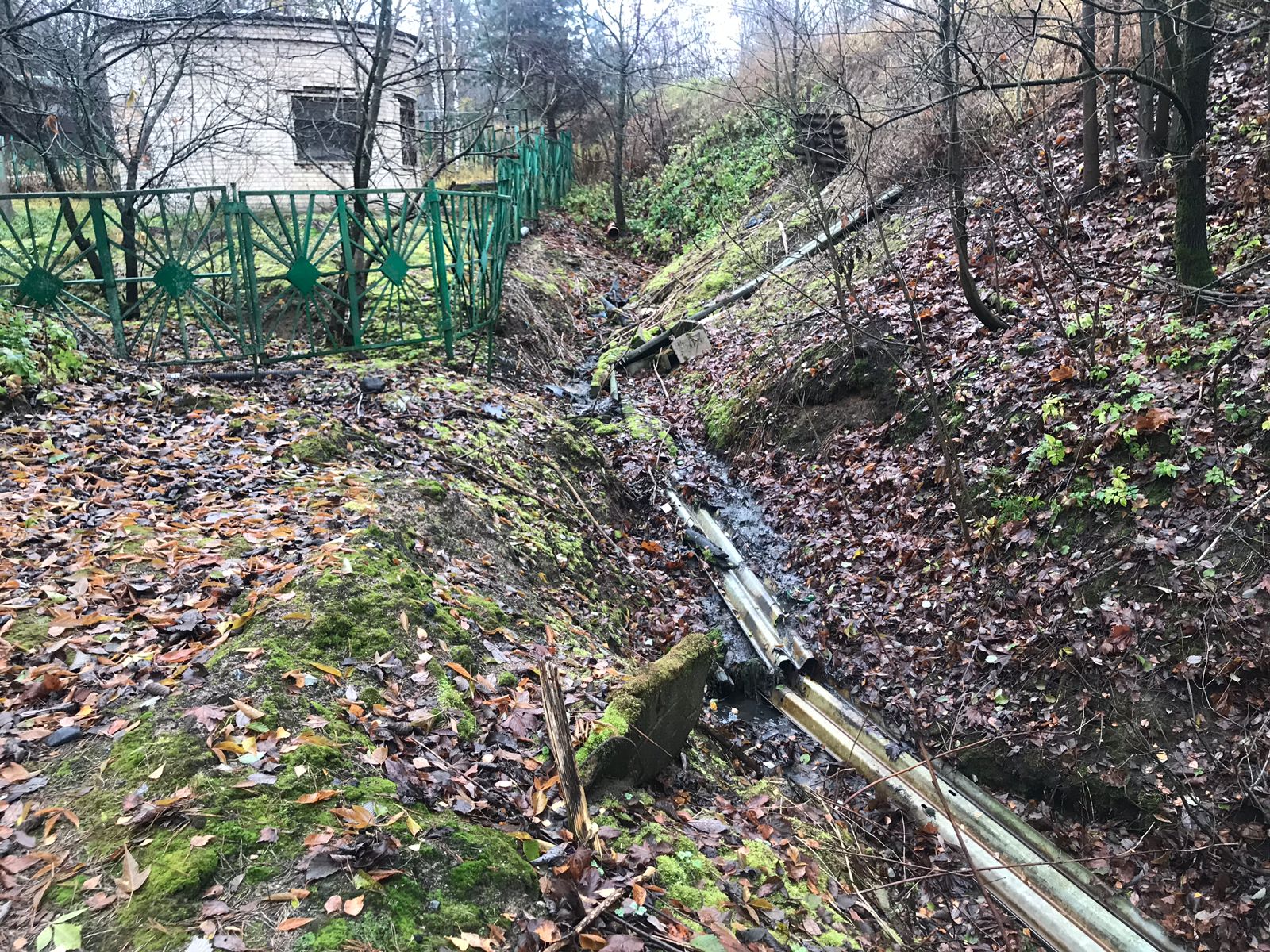 Сброс неочищенных стоков в ручей в Токсово прекращен