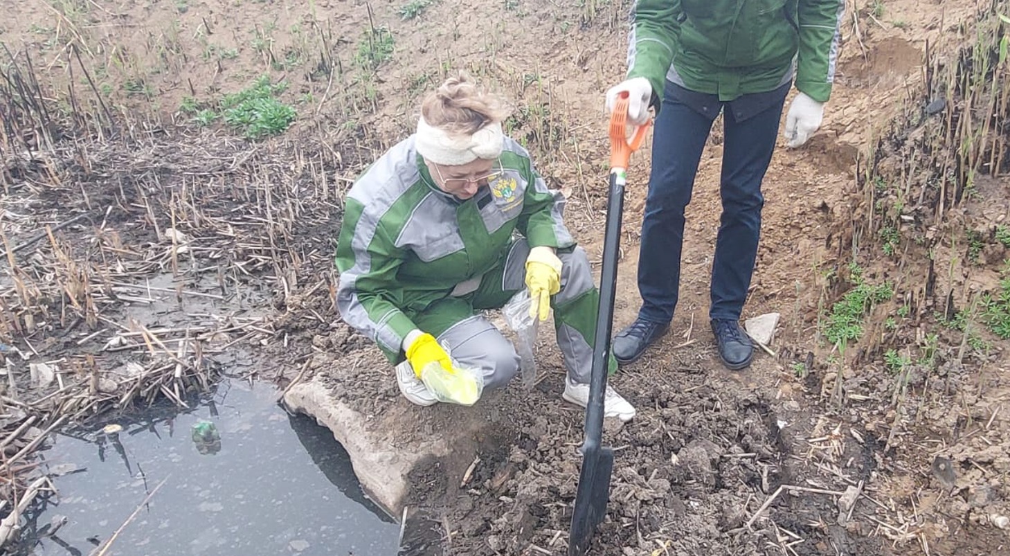 Суд поддержал требования Росприроднадзора о возмещении вреда почвам, в размере 2 404 929 тысяч рублей