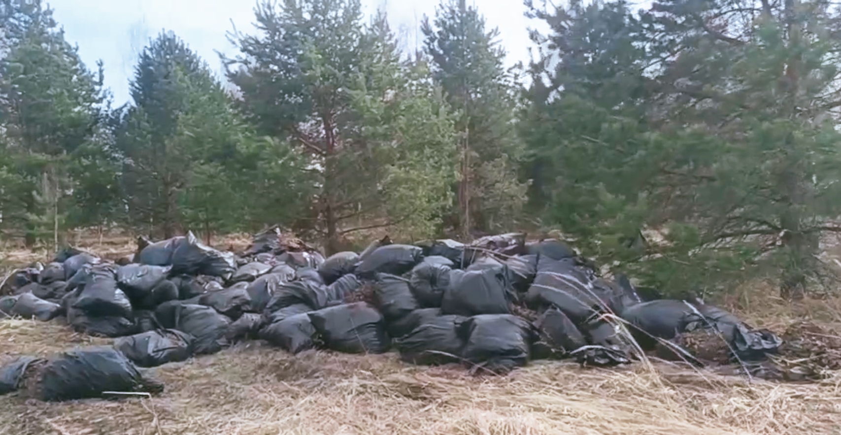 Росприроднадзор разбирается в ситуации с несанкционированным размещением отходов после проведения субботника в Нижегородской области