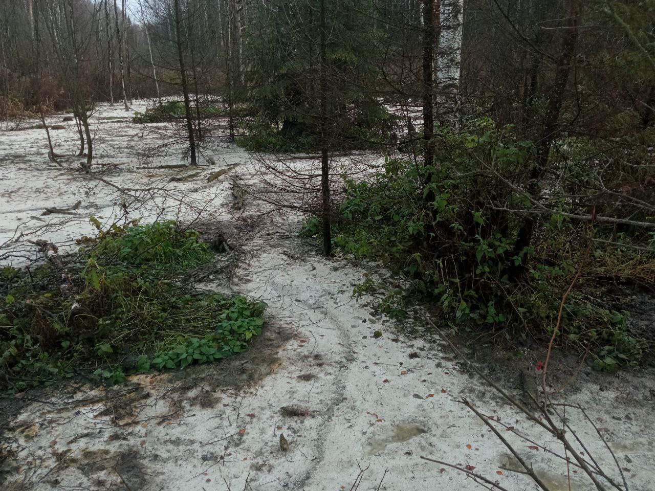 О загрязнении почвы отходами молочной промышленности в Кировской области