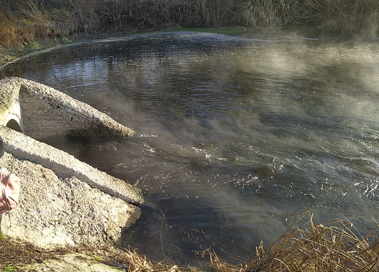 Центрально-Черноземное управление Росприроднадзора требует с ГУП «Белоблводоканал» более 16,5 млн руб. за ущерб, причиненный р. Разумная