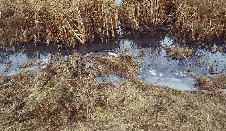 В адрес НМУП «Сокольнический водоканал» объявлено предостережение в связи со сбросом сточных вод на почву в д. Ольховец Тульской области