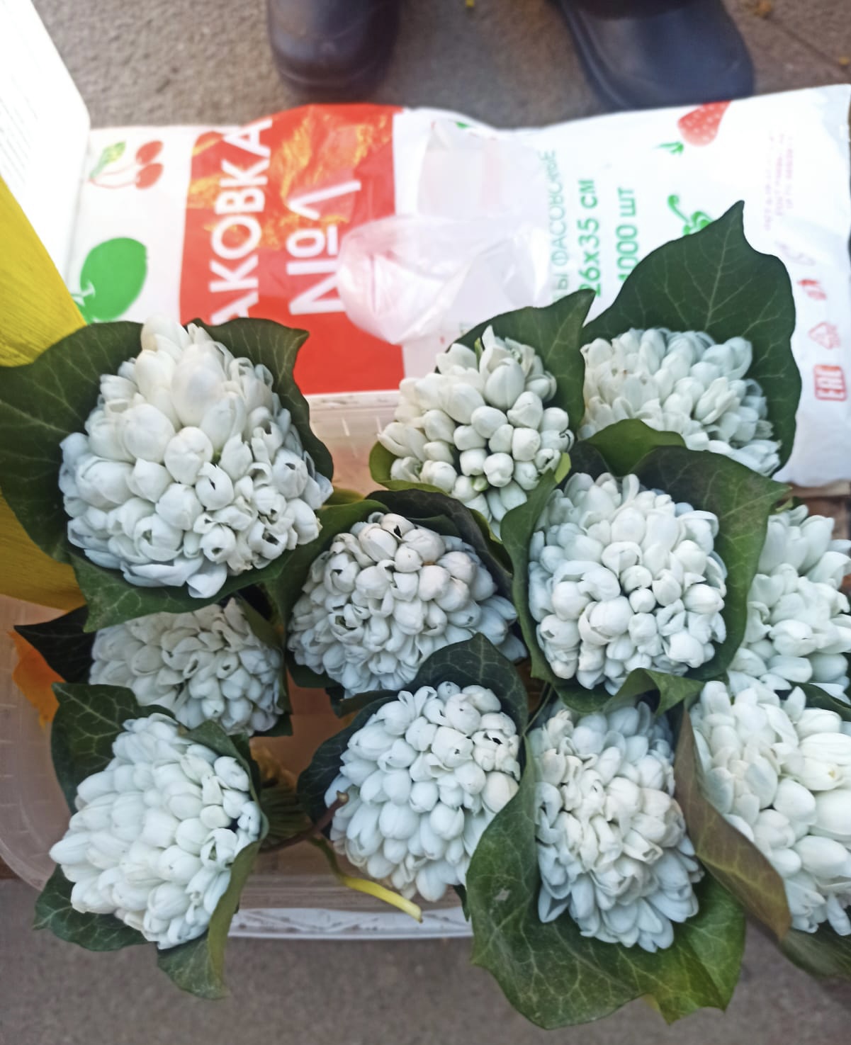 Росприроднадзор по СЗФО пресек продажу редких подснежников