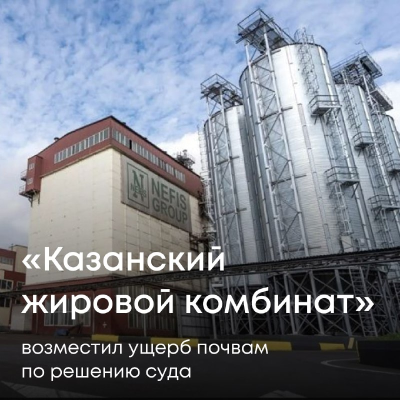 Суд поддержал требование Росприроднадзора о взыскании с АО «Казанский жировой комбинат» 2,9 млн рублей за вред, причиненный почвам.