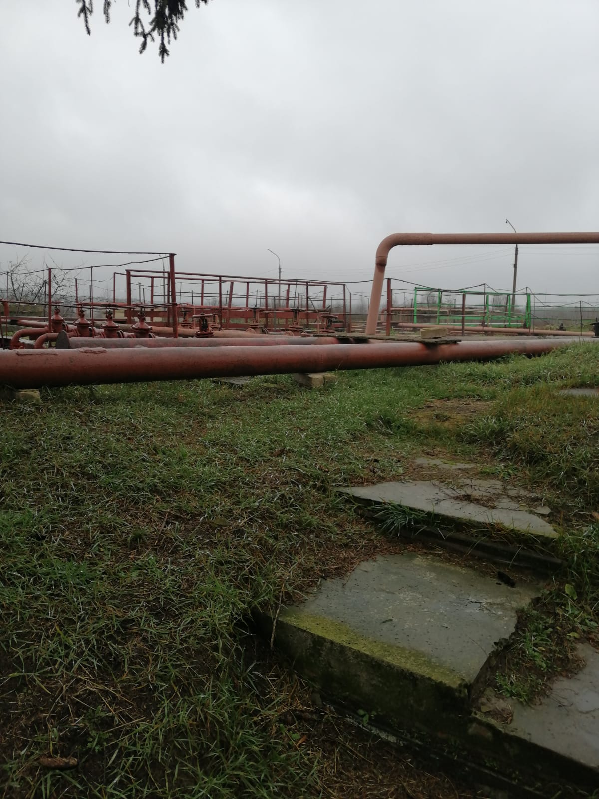 Инспекторы Приокского межрегионального Управления Росприроднадзора в отношении ООО «Жилстройсервис плюс» провели профилактический визит