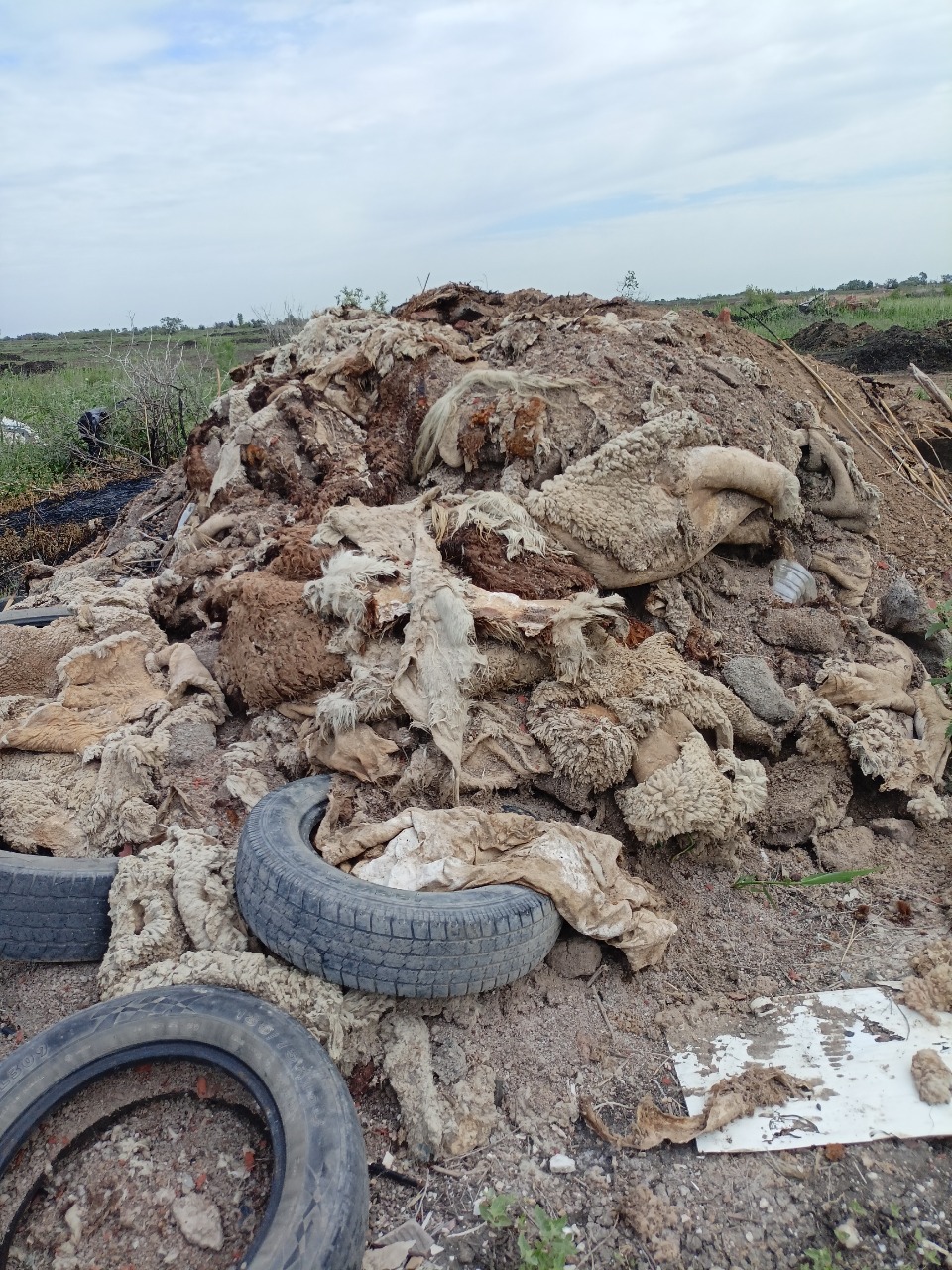 Межрегиональное Управление Росприроднадзора по Астраханской и Волгоградской областям продолжает выявлять несанкционированные свалки в г. Астрахани