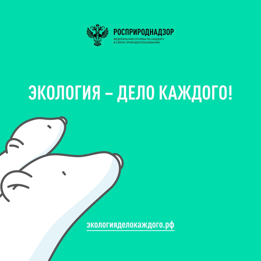 Продолжается прием заявок на второй сезон детско-юношеской премии «Экология – дело каждого»!