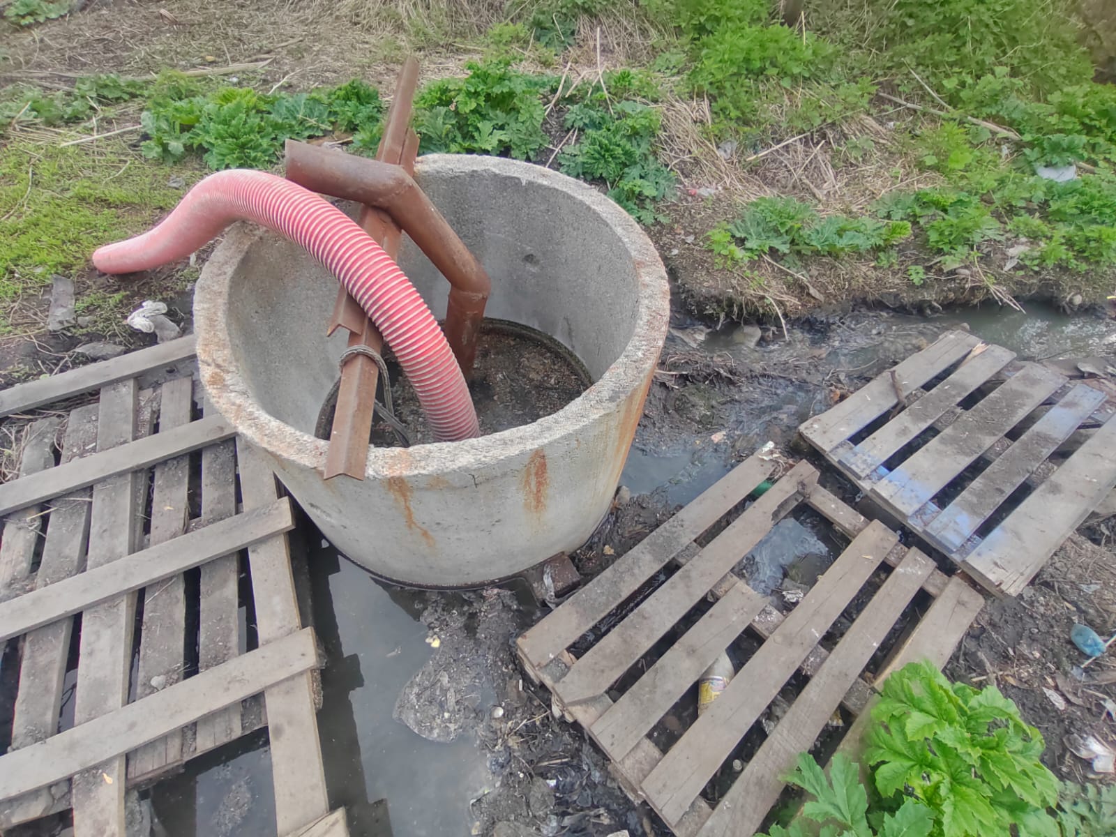 Должностное лицо ИК-1 в Республике Алтай оштрафовано за порчу земель в результате нарушения правил обращения с отходами производства и потребления