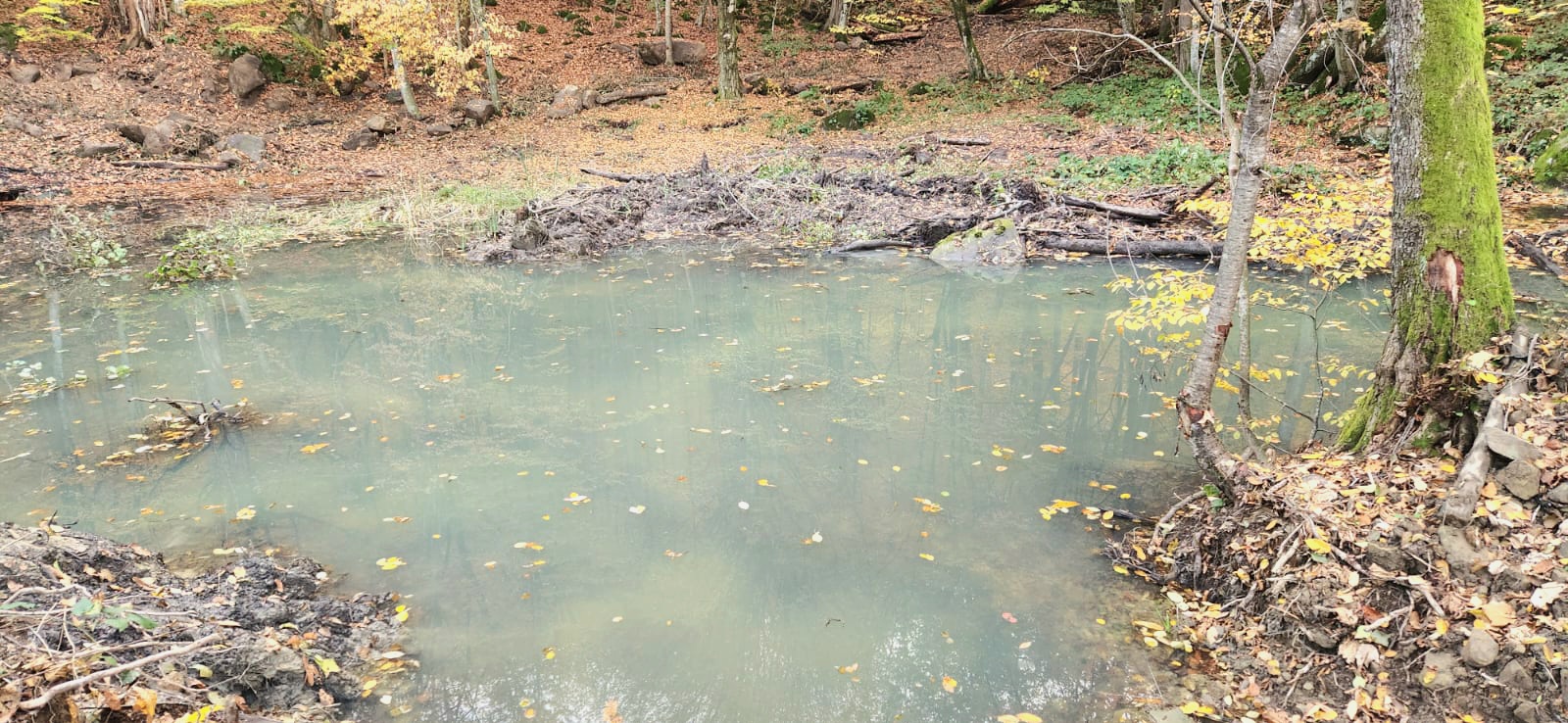 Южное управление Росприроднадзора проверило исполнение предписаний ФГБУ «Сочинский национальный парк»  