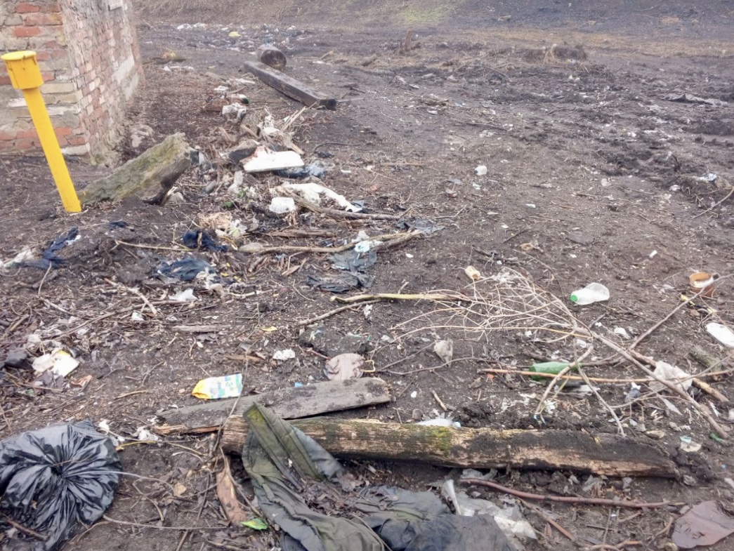 Администрации г. Ефремов Тульской области объявлено предостережение из-за стихийной свалки  