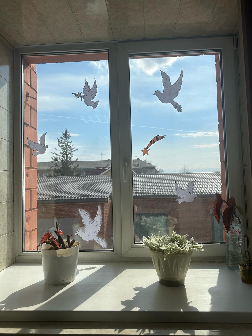 Сотрудники Управления Росприроднадзора приняли участие  в акции  «Окна победы»