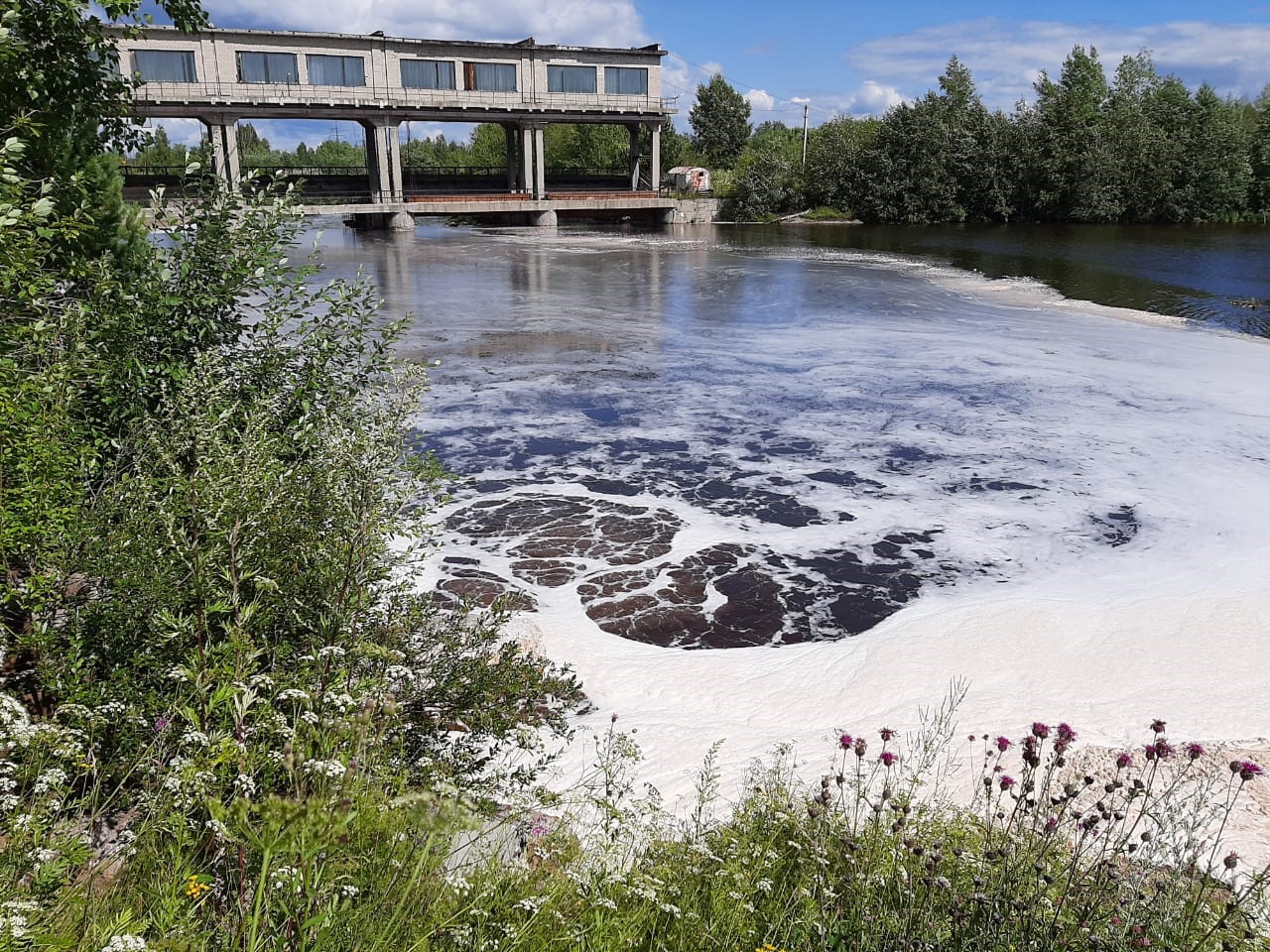Инспектор Уральского управления Росприроднадзора провел выездное обследование в Новолялинском городском округе