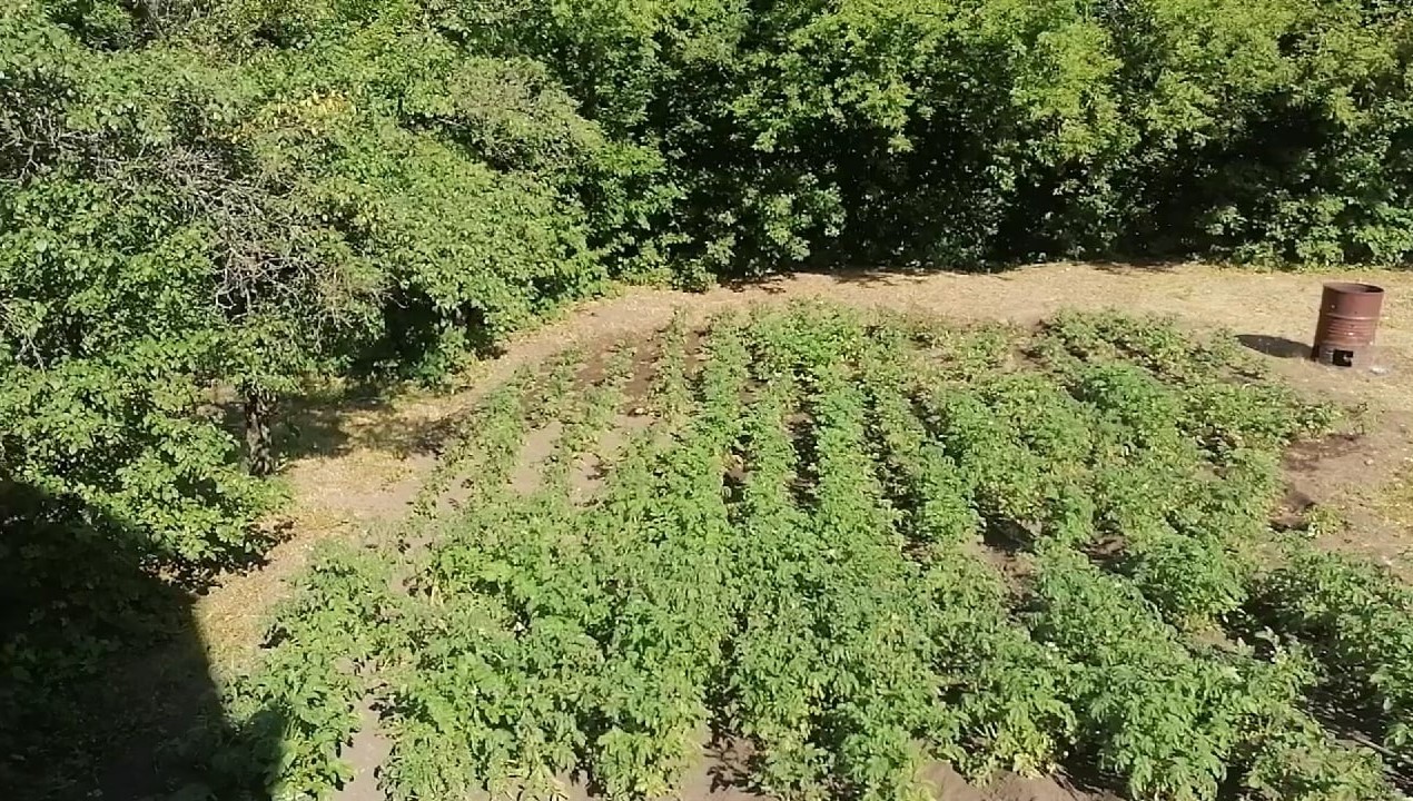 Инспекторы Росприроднадзора провели проверку обращений граждан о нарушении водоохранной зоны р. Цна в Тамбовской области