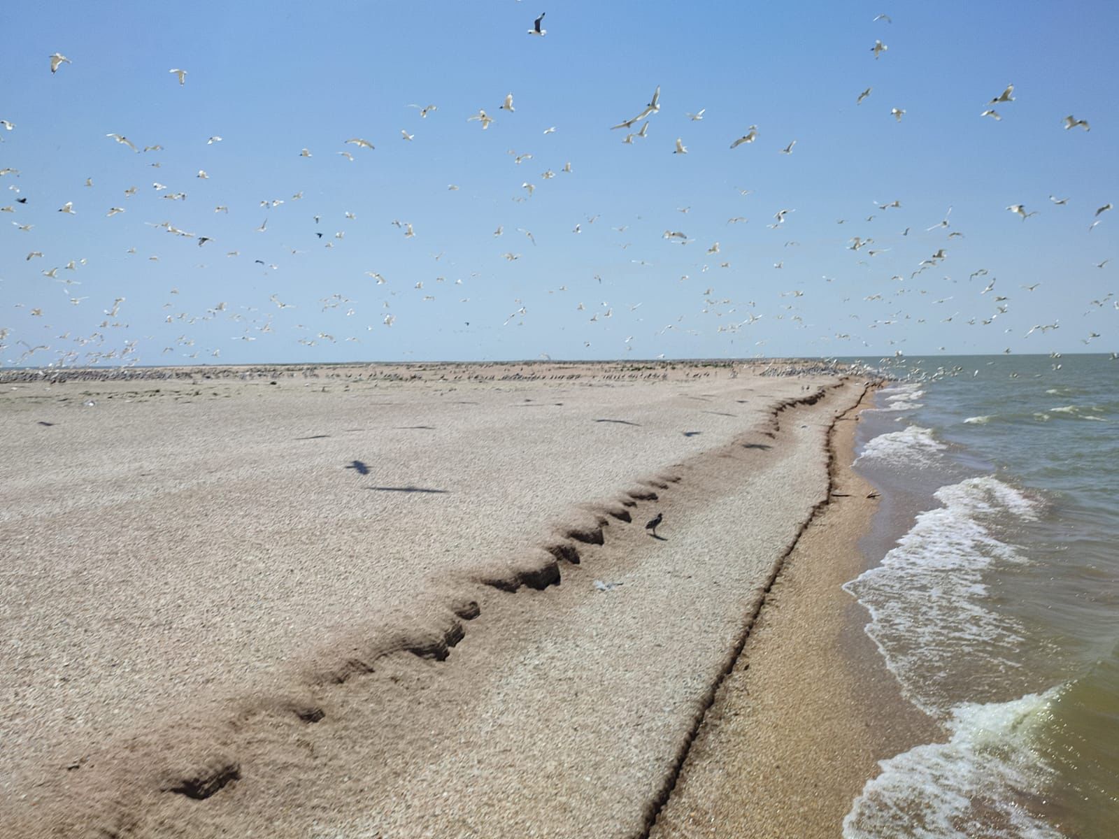 Росприроднадзором осуществлено выездное обследование территории острова Малый Жемчужный