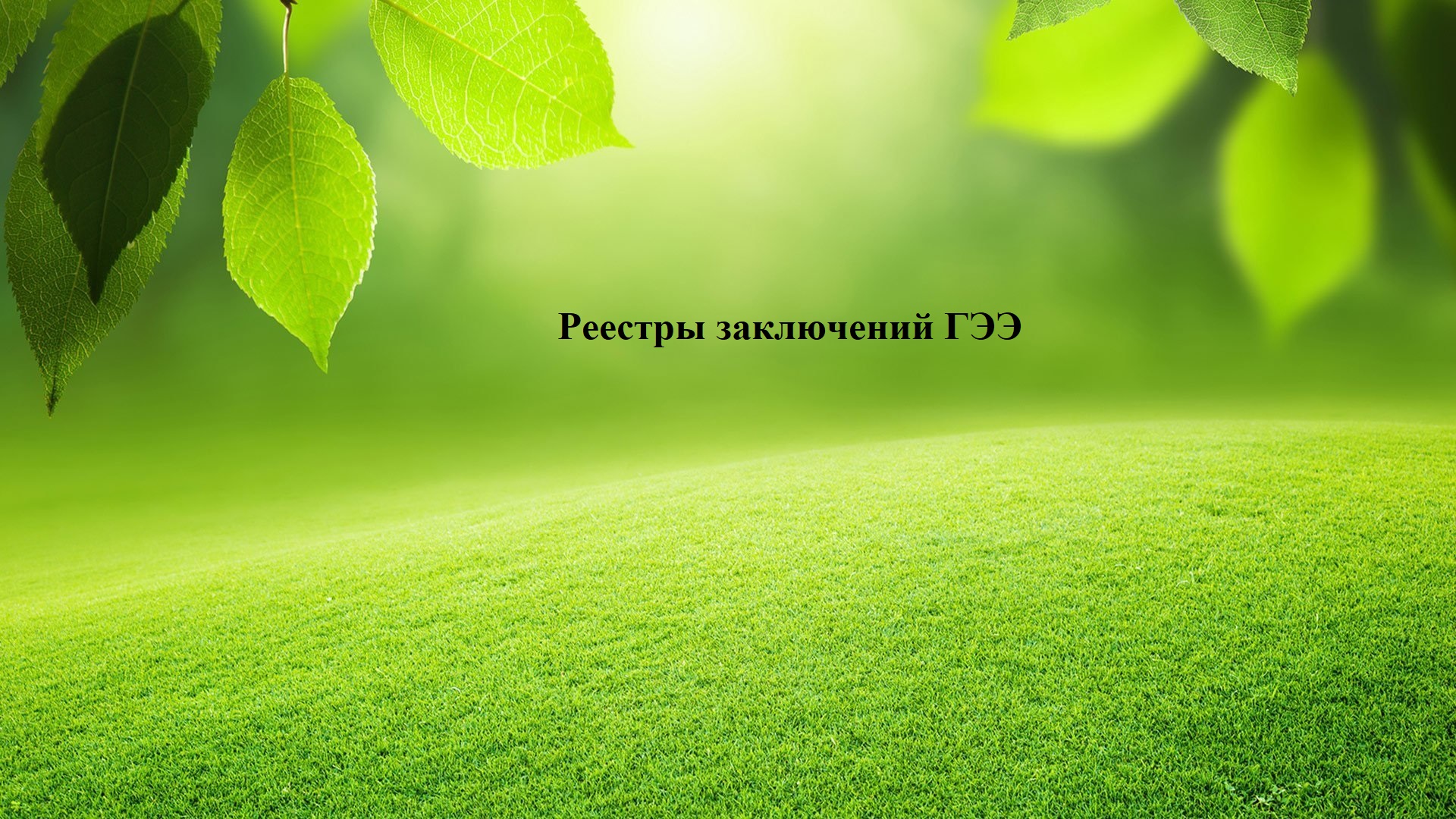 Реестры заключений государственной экологической экспертизы
