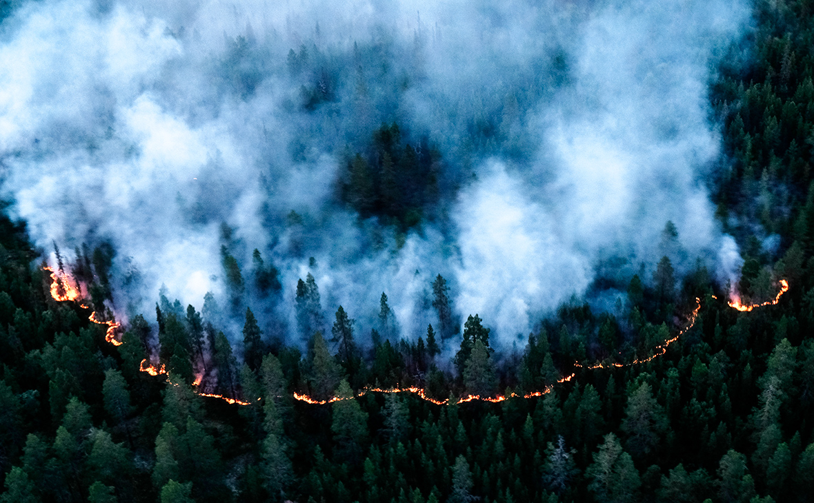 Якутская природоохранная прокуратура разьясняет, что ограничение пребывания в лесах продлено!