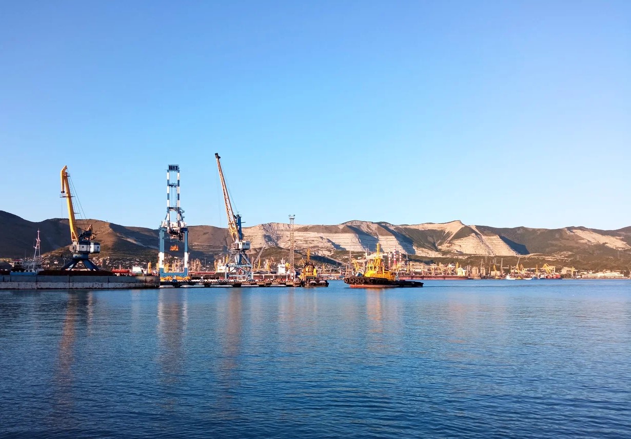 За невыполнение требований Росприроднадзора суд приостановил деятельность морского агента в морском порту Новороссийск