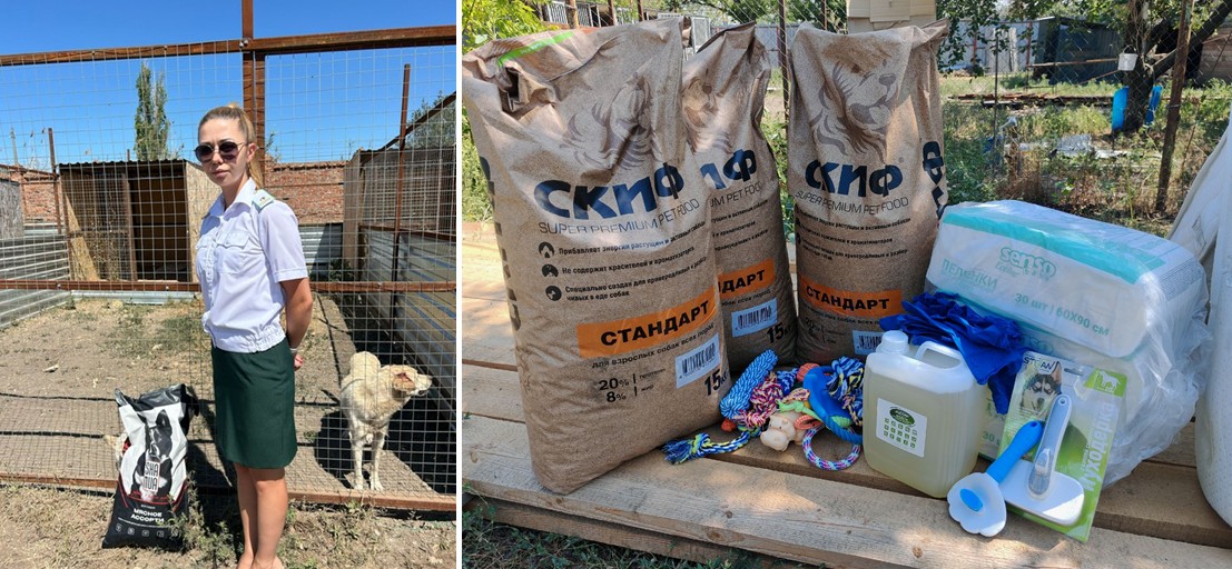 Сотрудники Черноморо-Азовского морского управления Росприроднадзора продолжают оказывать помощь приютам бездомных животных