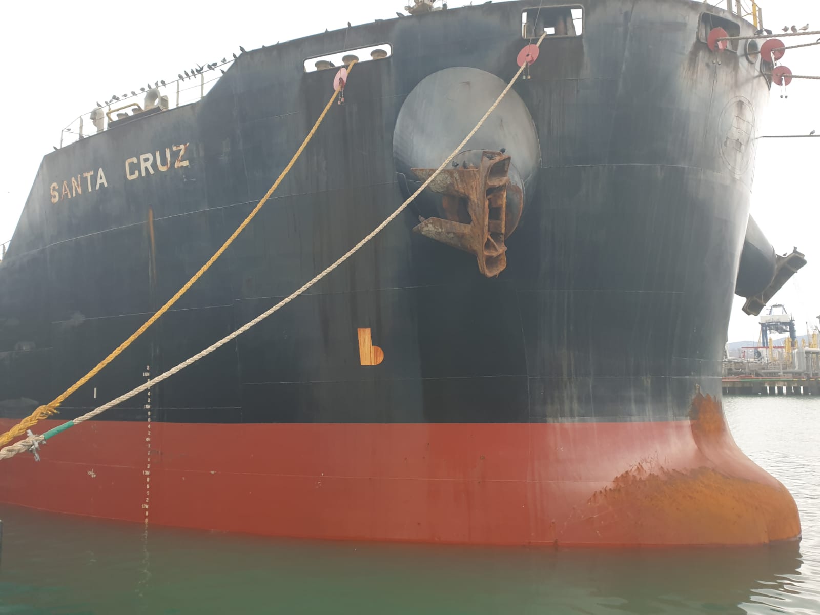 Росприроднадзор требует оплатить вред, причиненный Черному морю, вследствие загрязнения акватории отходами производства и потребления