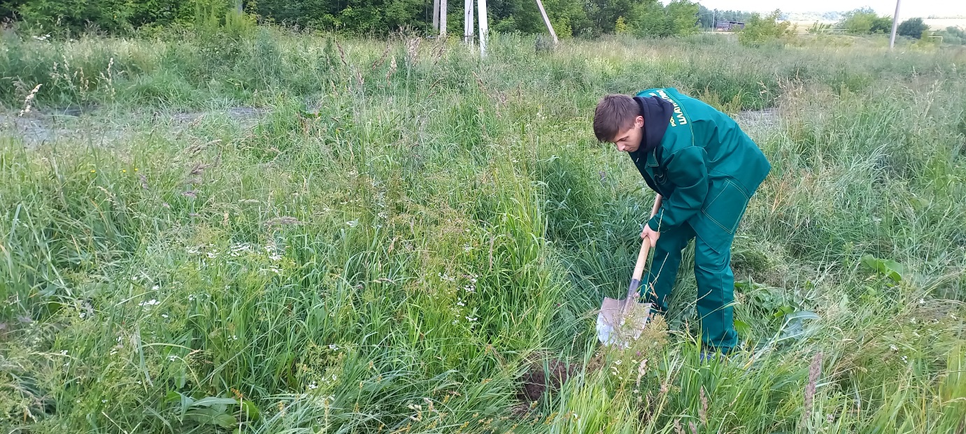 Решение Арбитражного суда Чувашской Республики о взыскании с муниципалитета вреда, причиненного почве в сумме 913 тыс. руб., устояло в апелляции