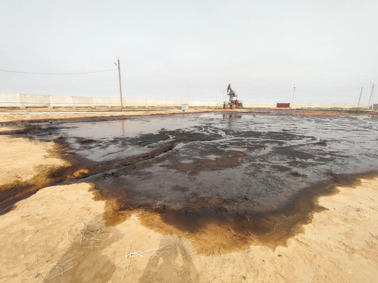 Арбитражный суд Республики Калмыкия поддержал требования Росприроднадзора к ООО «КомсомольскНефть» о возмещении вреда почвам, в размере более 113 млн рублей