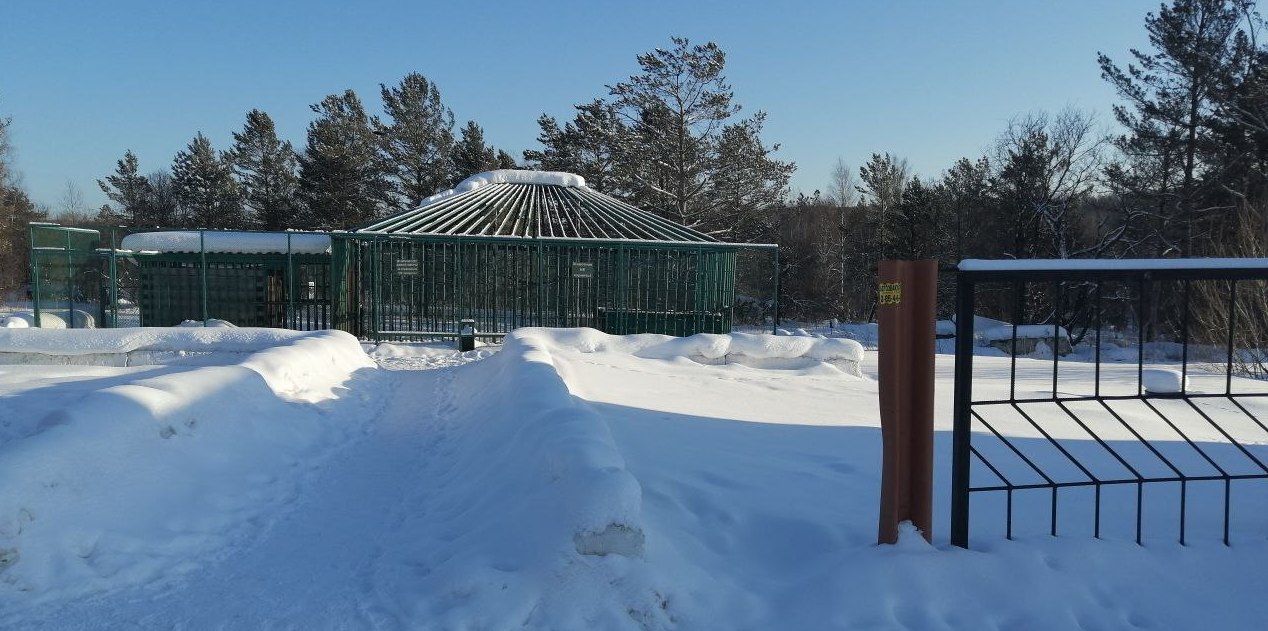 Инспекторы Енисейского управления Росприроднадзора проверили условия содержания бурого медведя