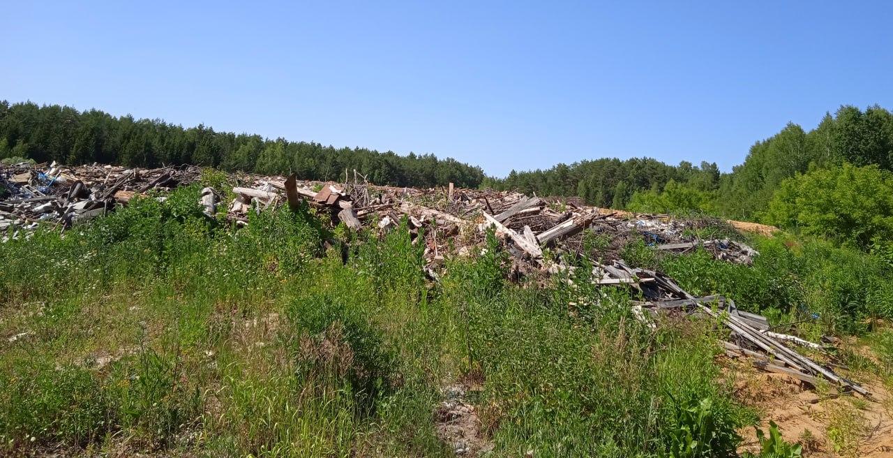 Полигон ТБО в Семеновском районе Нижегородской области оказывает негативное влияние на почву