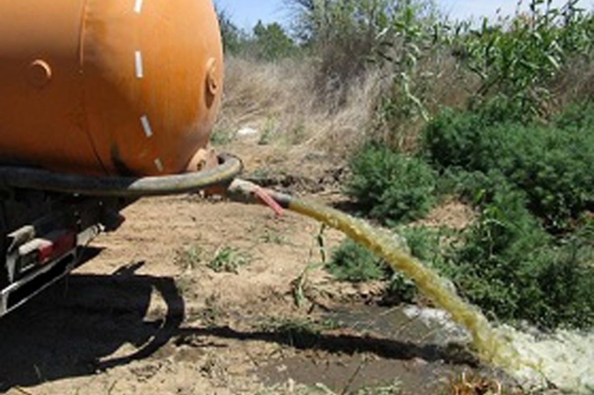 Росприроднадзор выявил незаконный сброс сточных вод в реку Щербедина в Турковском районе