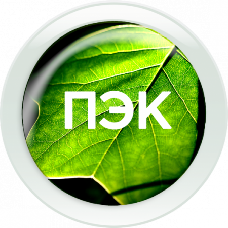 Информация о сдаче отчетности  о производственном экологическом контроле