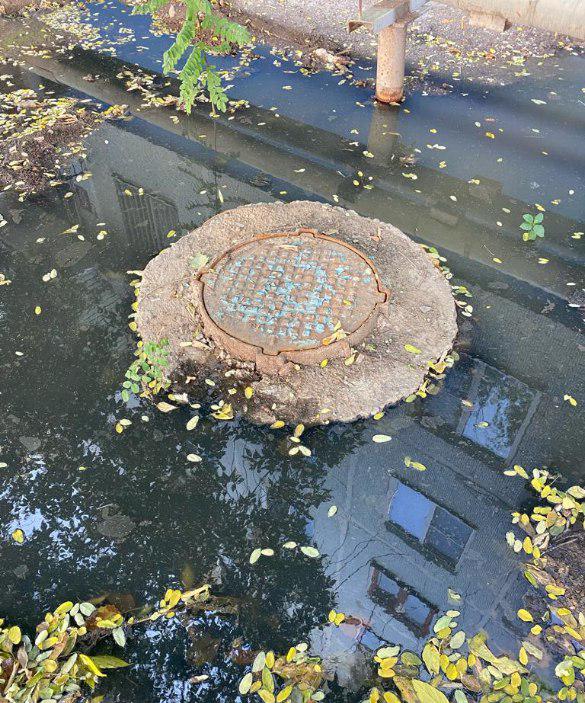 Суд поддержал требования Росприроднадзора о возмещении вреда почвам, в размере 810 968 рублей