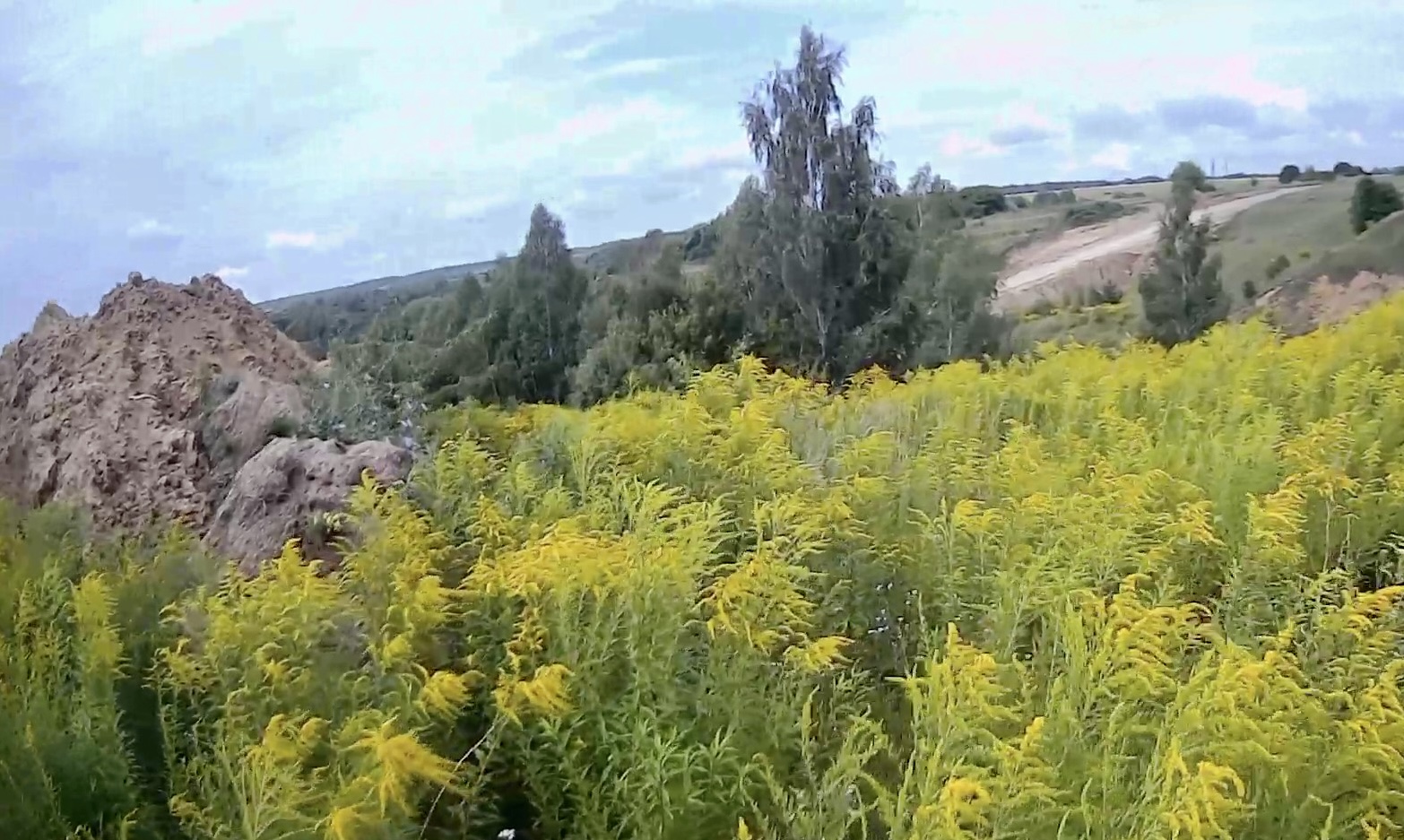 По результатам выездного обследования на территории Лобынцевского с/п Сосковского района Орловской области установлены нарушения