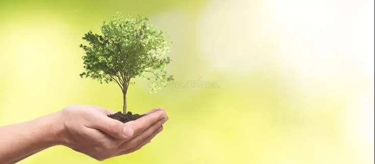 О приеме к рассмотрению заявки на получение комплексного экологического разрешения ООО «Родниковский свинокомплекс»