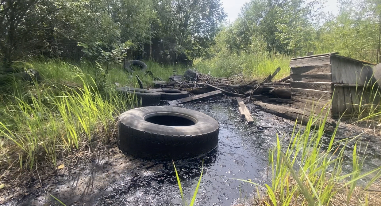 В Выборге Росприроднадзор по СЗФО выявил загрязнение нефтепродуктами  земель