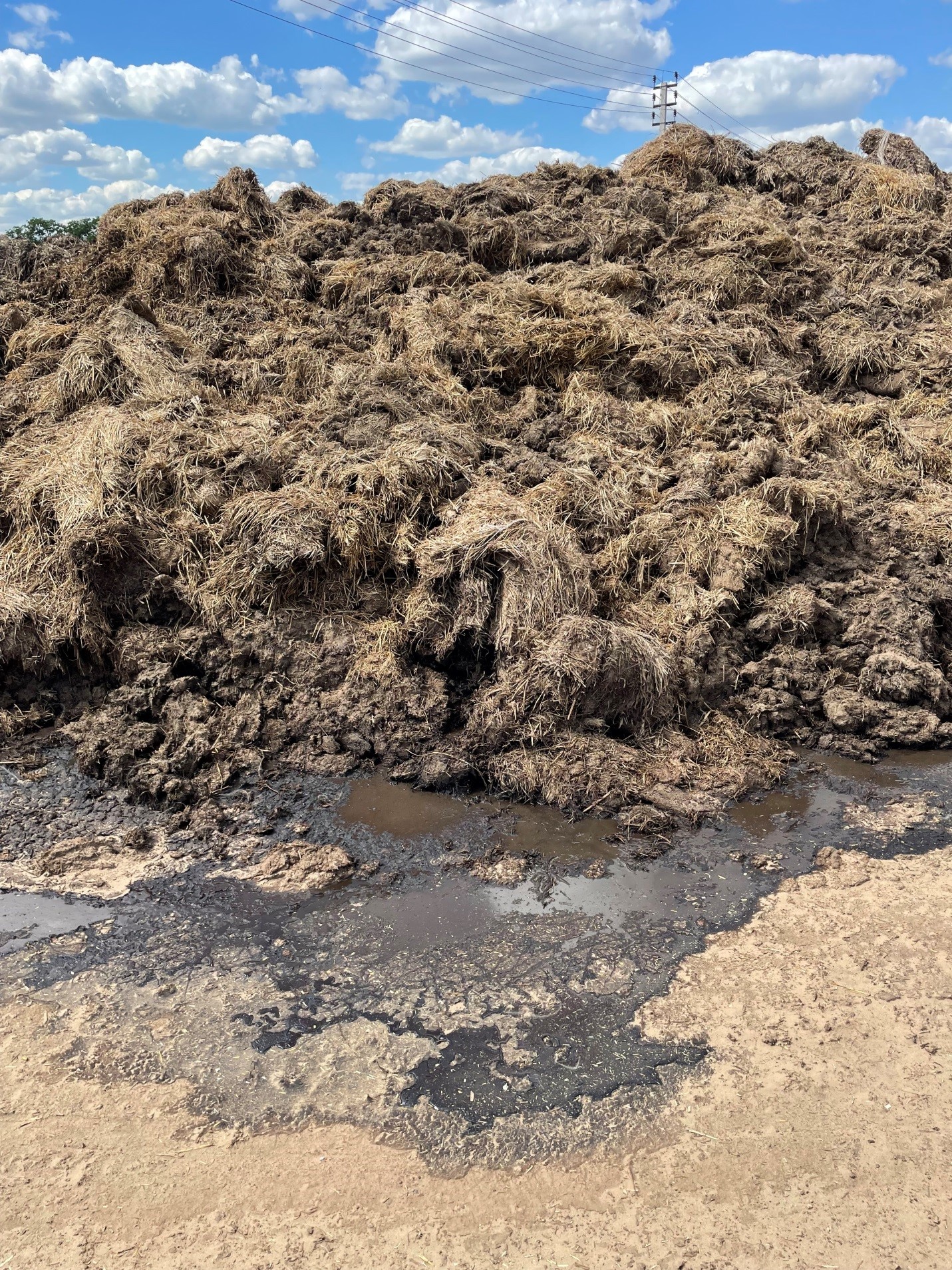 Арбитражным судом Волгоградской области удовлетворены исковые требования Росприроднадзора к ООО «СП «Донское» о возмещении вреда почвам на сумму  более 253 миллиона рублей